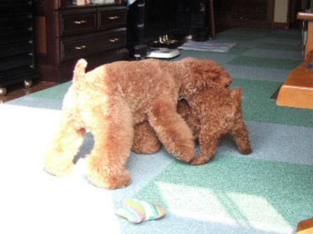 f0076529_2103463.jpg