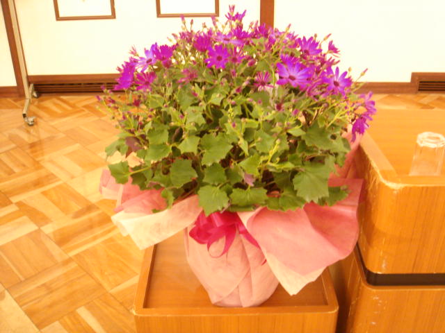 f0052933_1402064.jpg