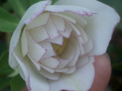 c0025140_22102975.jpg