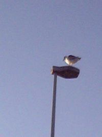 f0032340_0153892.jpg