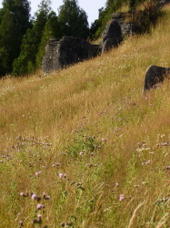 f0079844_421208.jpg