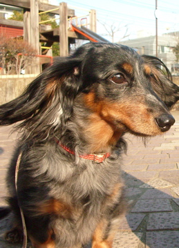 c0015256_1525269.jpg