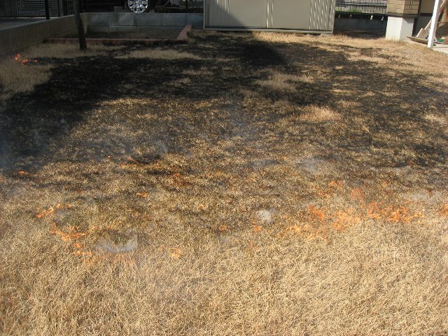 f0088864_13553028.jpg