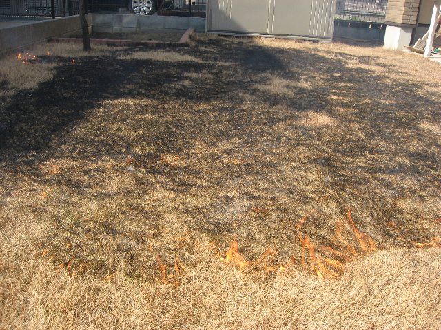 f0088864_13554185.jpg