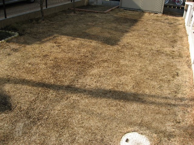 f0088864_13581814.jpg