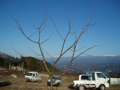 b0050067_23505460.jpg