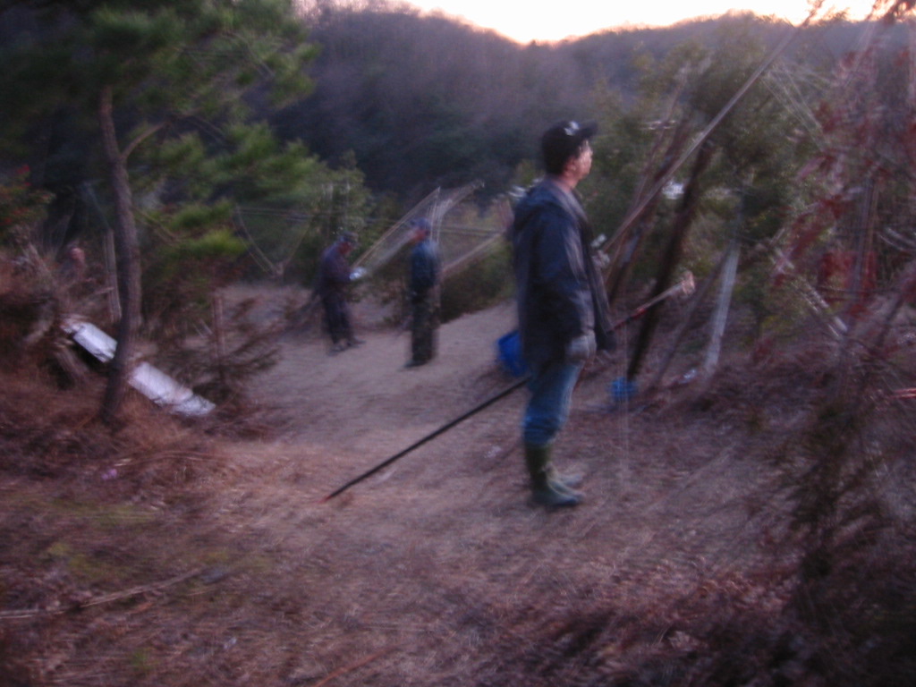 d0094868_22461877.jpg