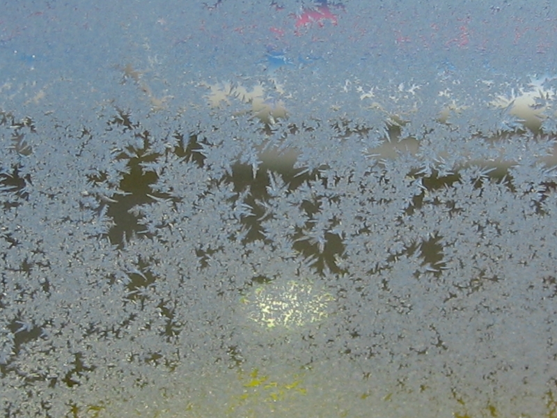 b0107769_9181657.jpg