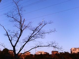 c0011169_8411293.jpg