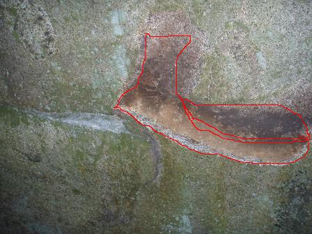 b0083170_22235290.jpg