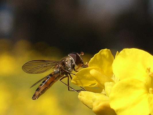 b0084270_22553775.jpg