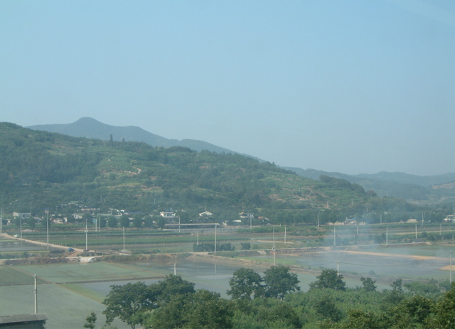 d0021973_21364891.jpg