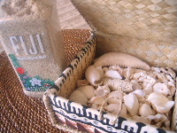 e0077373_8585235.jpg