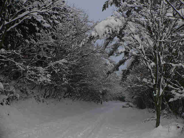 f0082181_18113135.jpg