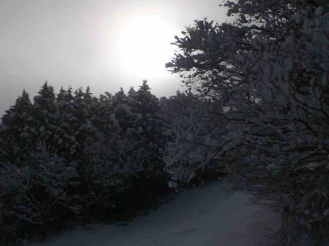 f0082181_18114546.jpg