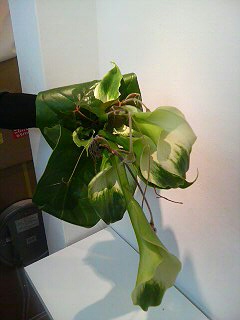 f0014183_10234041.jpg