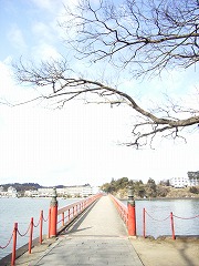 b0062185_21122013.jpg