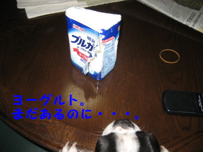 c0092787_1028491.jpg