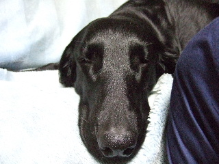 d0070289_17455791.jpg