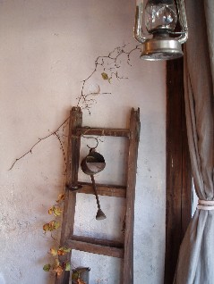 c0076496_222001.jpg
