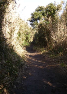 c0008598_155252100.jpg