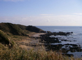 c0008598_15565699.jpg