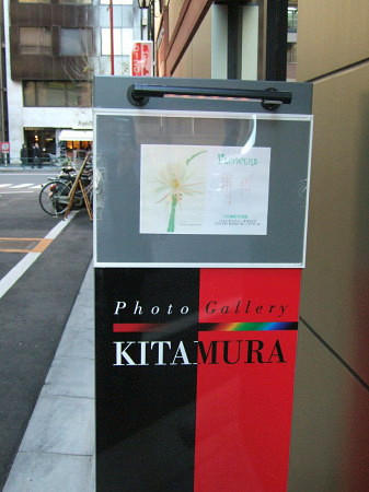 c0044199_1554775.jpg