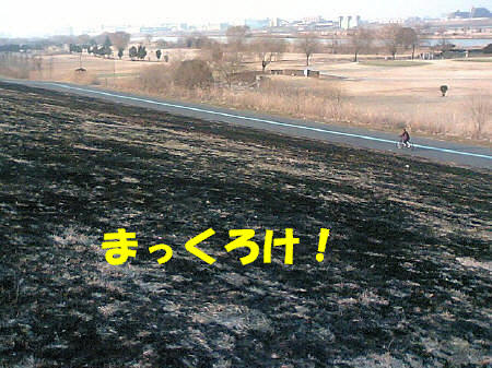 c0044199_22155596.jpg
