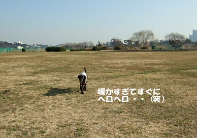 c0050400_2013366.jpg