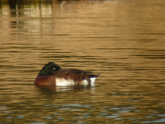 c0079001_18525347.jpg