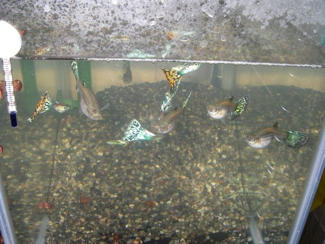 e0010301_14593763.jpg