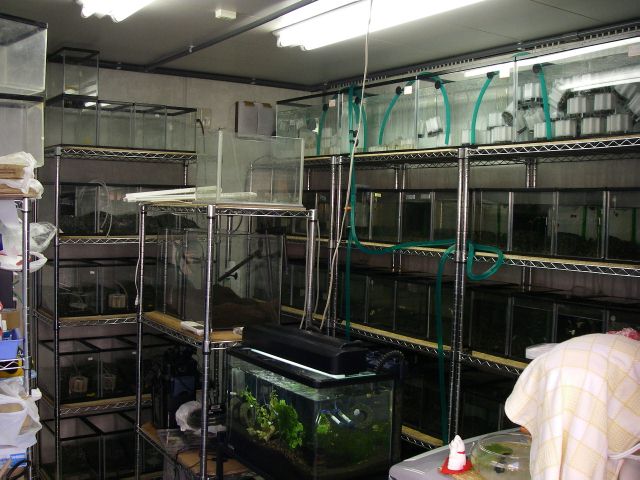 e0010301_15354483.jpg