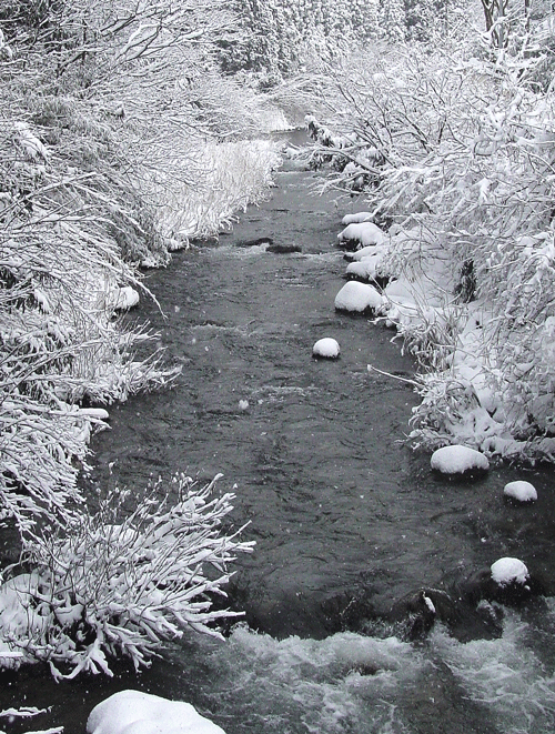 c0073907_1881269.gif
