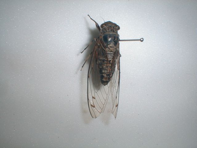 b0048509_2273573.jpg