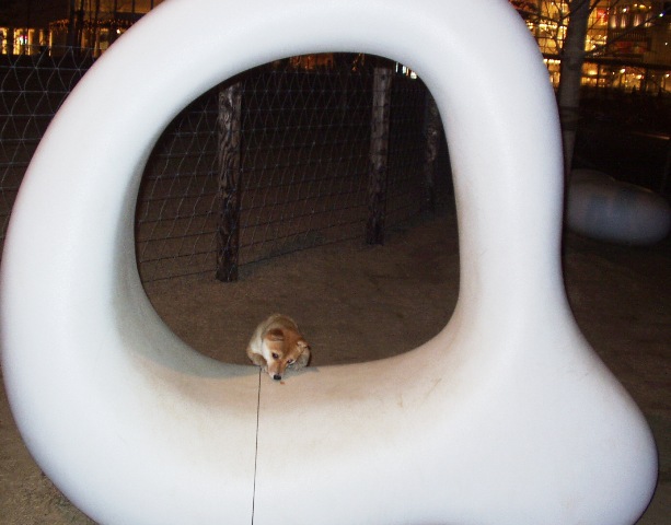 f0004309_15162034.jpg