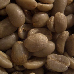 c0036617_17243679.jpg