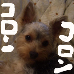 c0036617_17251639.jpg