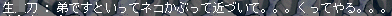 b0066920_1142945.gif