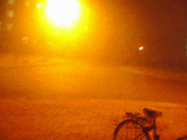 d0023728_1223976.jpg