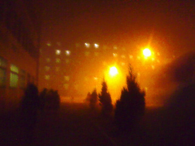 d0023728_1253899.jpg
