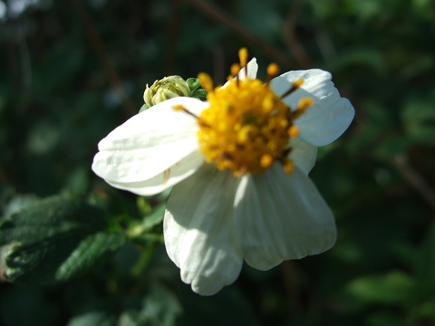 d0041032_2362836.jpg