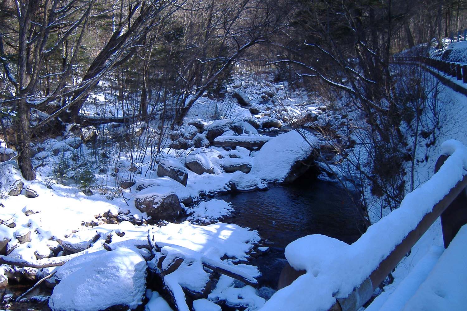 a0005436_194014.jpg