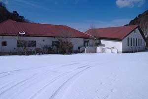 a0005436_1952010.jpg