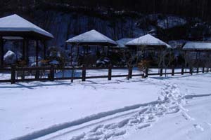a0005436_1953138.jpg