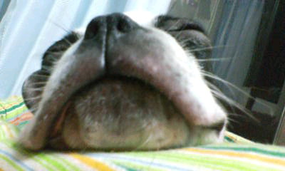 c0106039_22493874.jpg