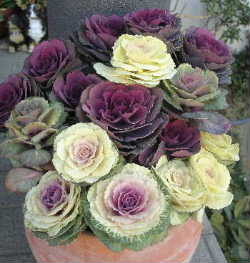 f0073239_20514792.jpg