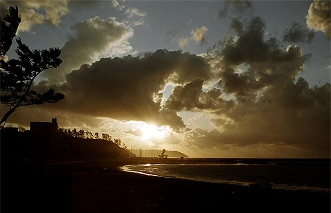 e0006242_1226883.jpg