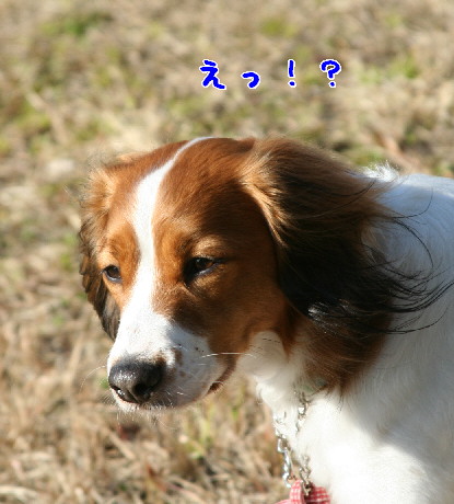 d0013149_1044557.jpg