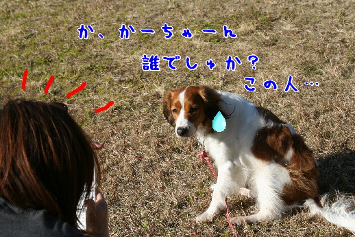 d0013149_10451891.jpg