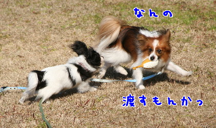 d0013149_11241920.jpg